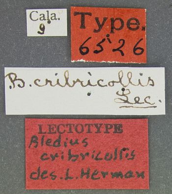 Media type: image;   Entomology 6526 Aspect: labels